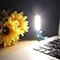 چراغ LED یو اس بی روموس مدل MLUL001